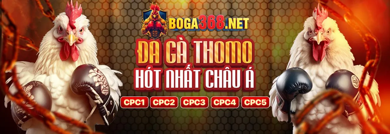 Đá gà trực tuyến C54C