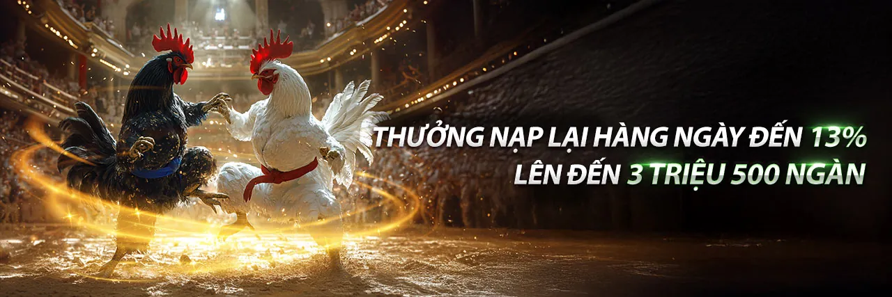 Sòng bạc trực tuyến c54c 2026 với trải nghiệm giải trí đẳng cấp